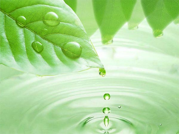 moisture scavenger for polyurethane