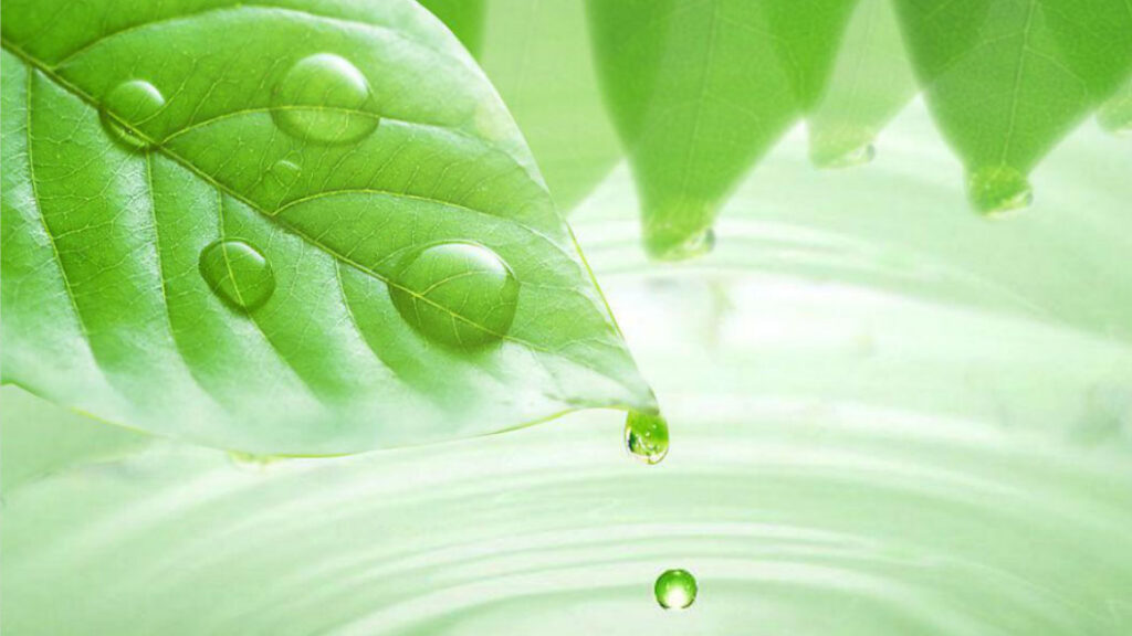 moisture scavenger for polyurethane